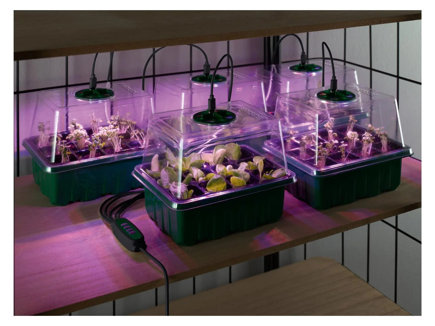 PARKSIDE® Palántakészlet LED-es változat