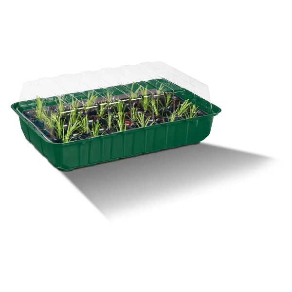 PARKSIDE® Csírázó doboz szett, zöld színű