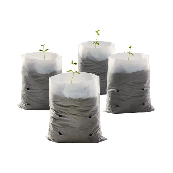 PARKSIDE® Növesztőzsákok 100 db