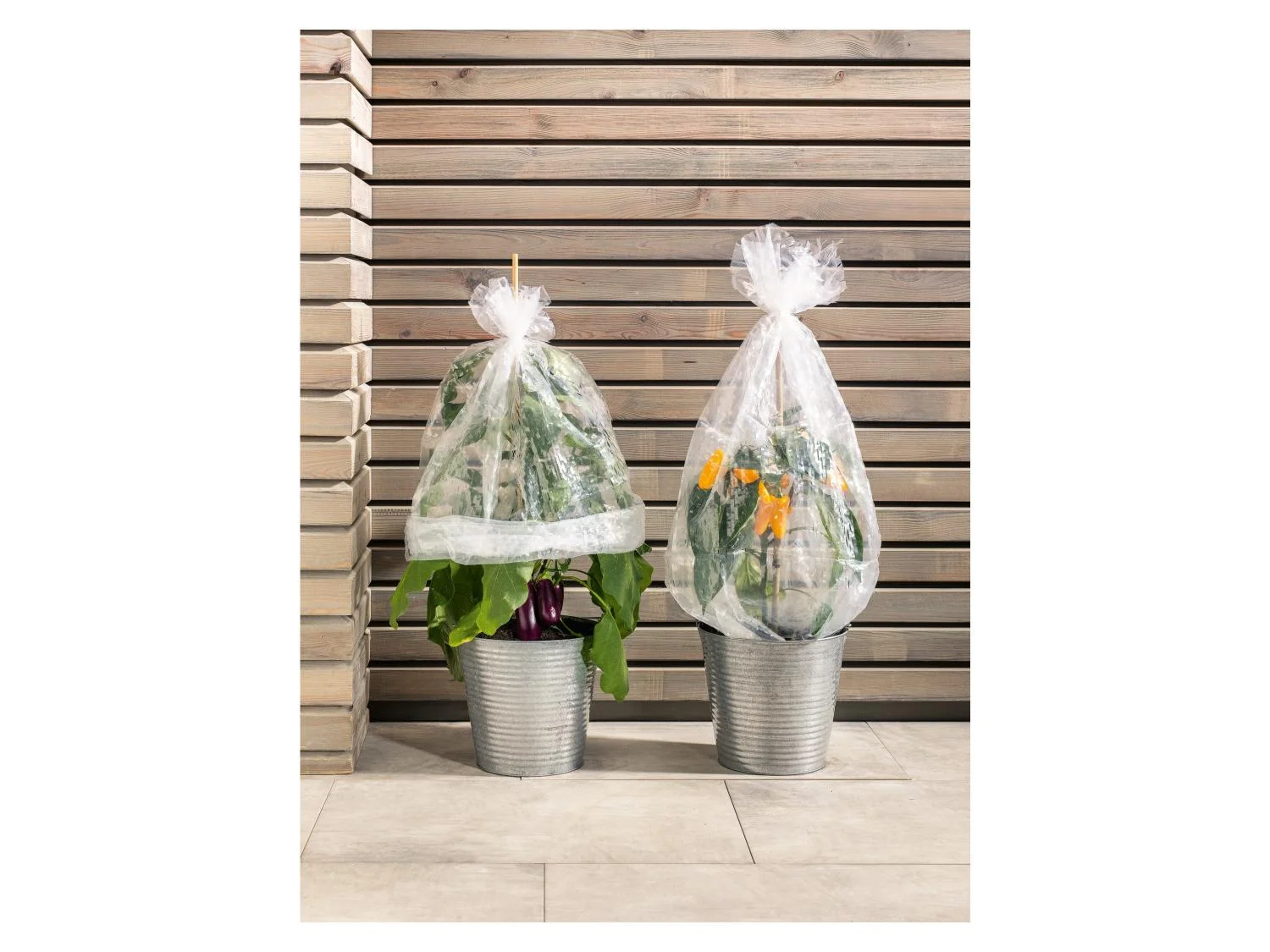 PARKSIDE® Fóliaborítás cserjékhez