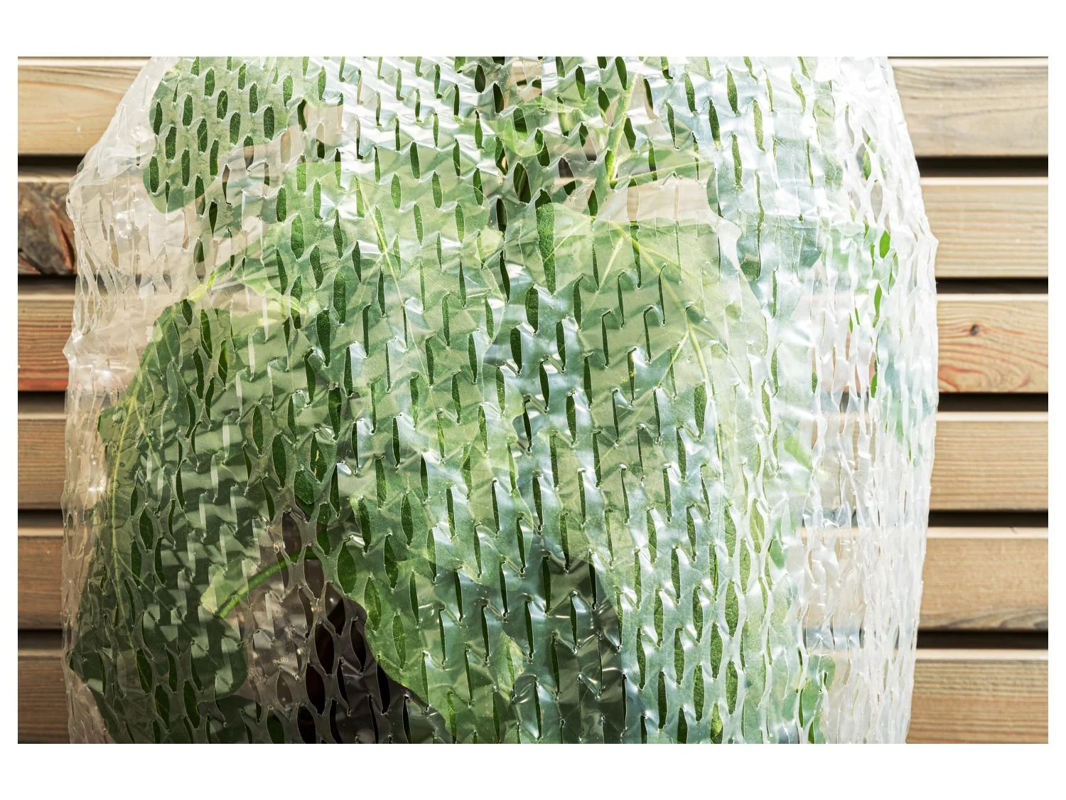 PARKSIDE® Fóliaborítás cserjékhez