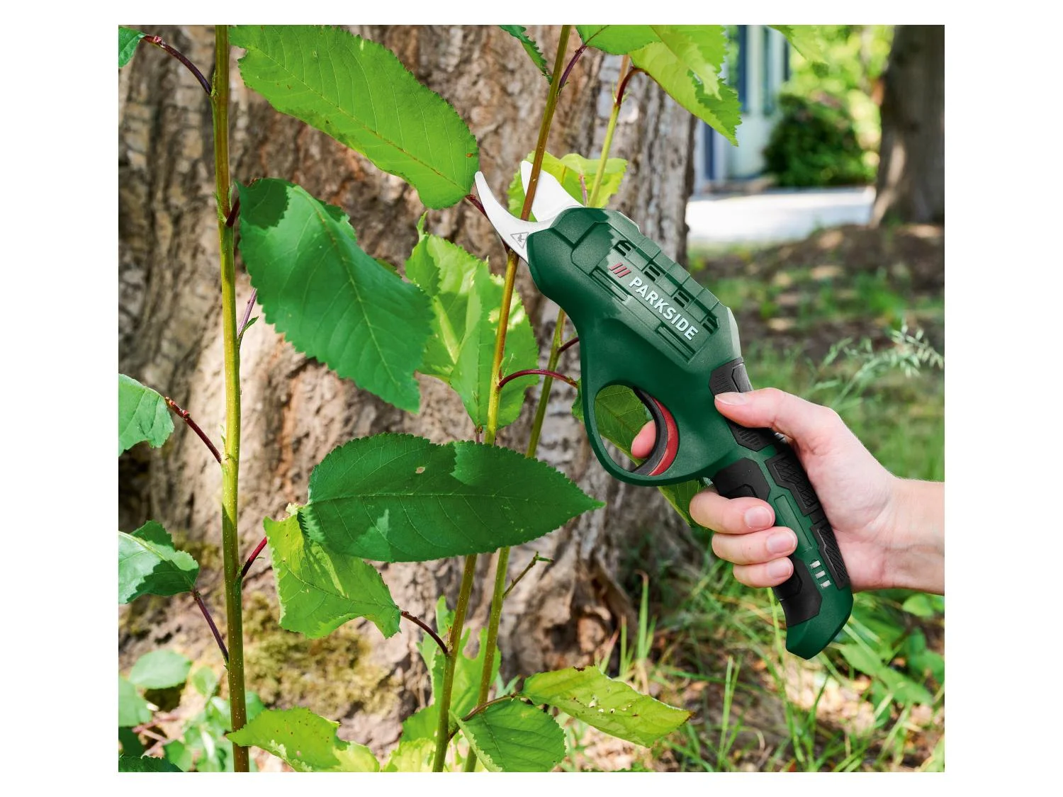 PARKSIDE® PAGS 4 A1 Akkus kerti olló